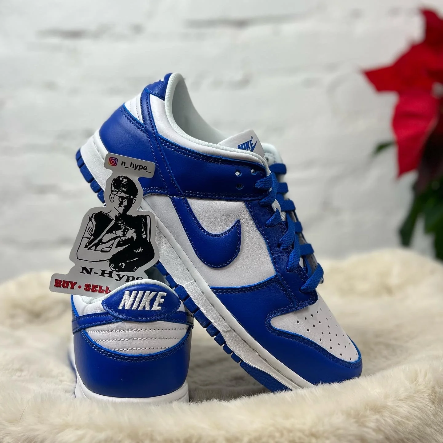 Nike Dunk Low SP Kentucky - Image 6